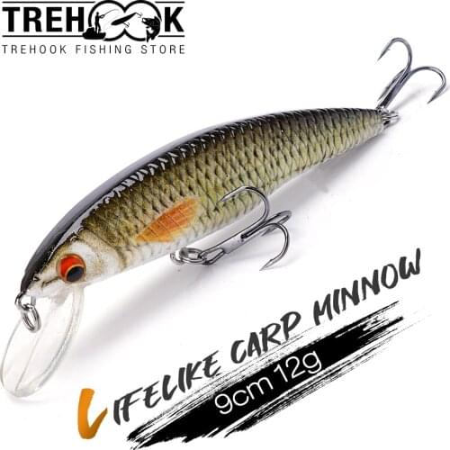TREHOOK Winter Minnow Lures For Fishing 9cm 12g Lifelike Carp Floating Wobblers For Pike Lure Crankbaits Fishing Tackle 2020
