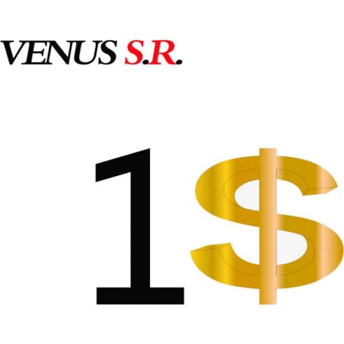 VENUS S.R. Car Rear Mirror DVRs