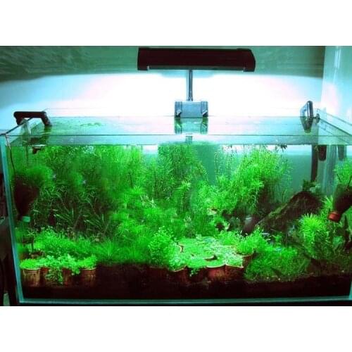 Aquarium Lighting Metal halide lamp/ Metal Halide HQI ADV Clip Light 70W 150W 8000K 10000K 15000K 20000K.Metal halide lamp