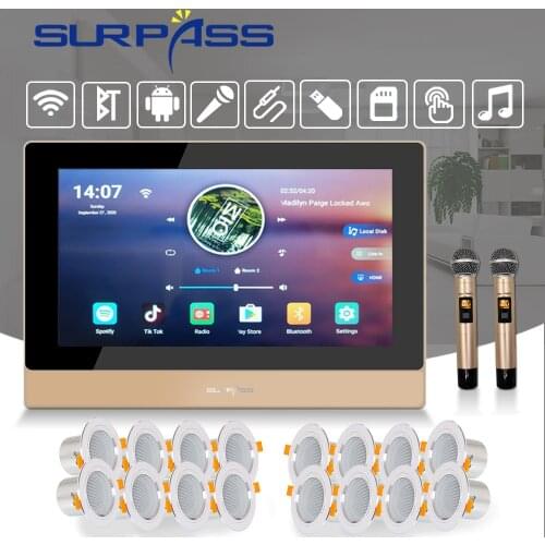 Smart Home Audio Bluetooth Wall Sound Amplifier Wifi Android Stereo HiFi PA Ceiling Speaker Wireless Microphone Karaoke System