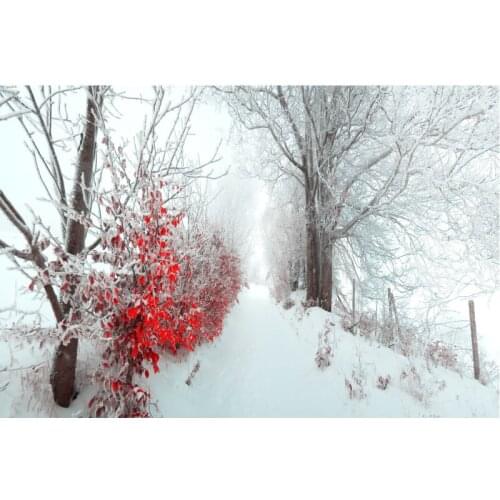 Christmas Backdrop Winter Tree Snow Scene Photography Background Family New Year Xmas Party Decoration Photo Booth Studio Prop