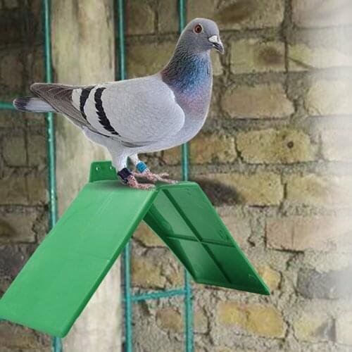 TINGHAO Parrot Perches