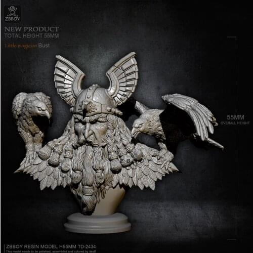 55MM Resin Bust kits model diy toy self-assembled TD-2434