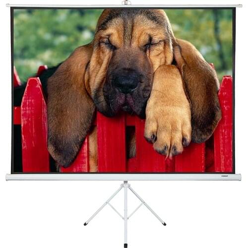 Projector Screen with Stand 100 inch - Indoor Outdoor Matt White Projection Screen 16:9 HD Premium Wrinkle-Free Tripod Screen
