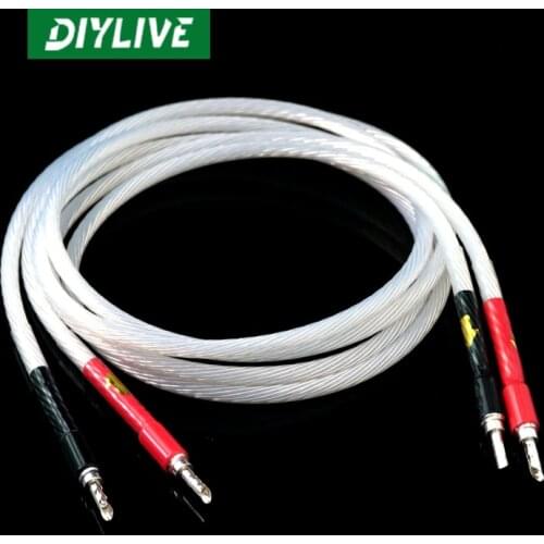 Dutch single crystal silver 5NOCC banana head tooth piece style 2 speaker wire HIFI fire grade sound wire, the power amplifier