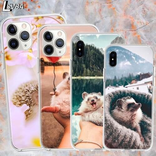 Silicone Cover Cute Hedgehog Outing For IPhone 12 Mini 11 Pro XS MAX XR X 8 7 6S 6 Plus 5S SE Gloss Phone Case Coque