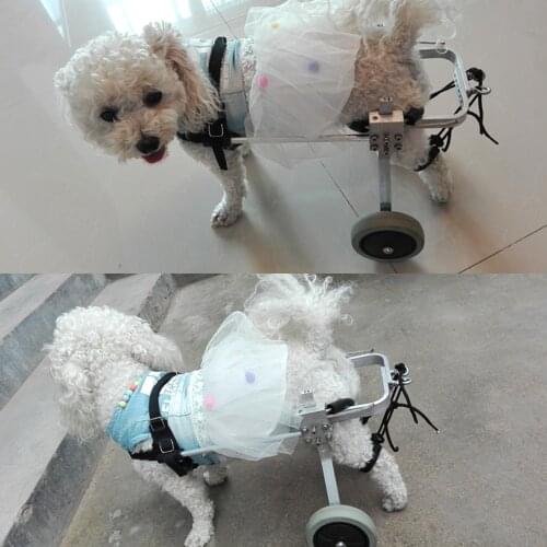 Upgrad S/M/L 3 Size Pet Dog Cat Wheelchair For Handicapped Dog 2 Wheels Stainless Steel Disabled Dog Rehabilitation Wheelchchair
