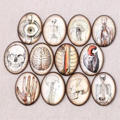 Onwear mix anatomy heart hand head photo oval glass cabochon 18x25mm 20x30mm 30x40mm diy flat back jewelry findings for pendants