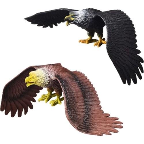 New Simulation Solid Static Birds Model Ornaments Realistic Eagle Educational Props