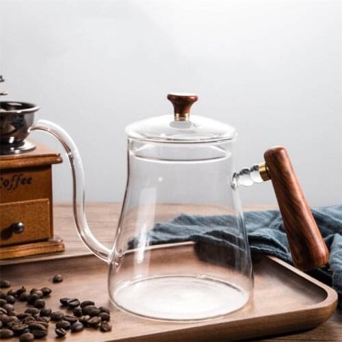 600ml Heat Resistant Clear Glass Tea Coffee Kettle Gooseneck Thin Spout for Pour Over Coffee Pot Stovetop Microwave Safe Teapot
