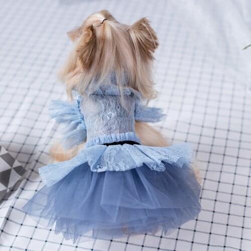 2021 Dog Dress Handmade Summer Small Dog Clothes Teddy Maltese Yorkshire Schnauzer Cat Puppy Pet Skirt Tutu Princess Dresses New