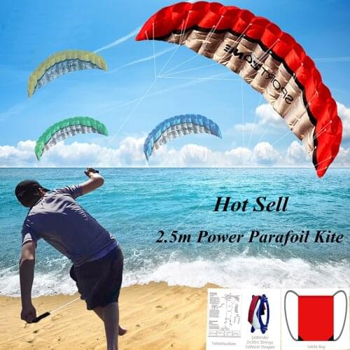 High Quality 2.5m Dual Line 4 Colors Parafoil Parachute Sports Beach Kite Easy to Fly