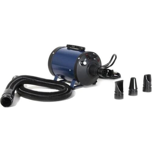 EMS Free !Pet Blowing Machine Mute High Power Hair Dryer Professional Big Dogs Cats Blow Dryer Grooming Dryer Pet Dryer 220/110V