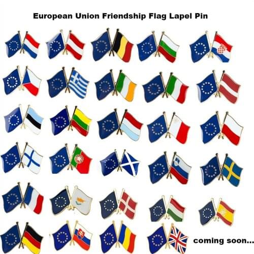 European Friendship flag lapel pin badge pin