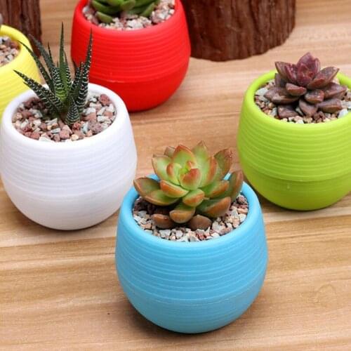 Mini Round Plastic Meat Plant Flower Pot Garden Home Office Decor Micro Landscape Planter High Quality LX9346