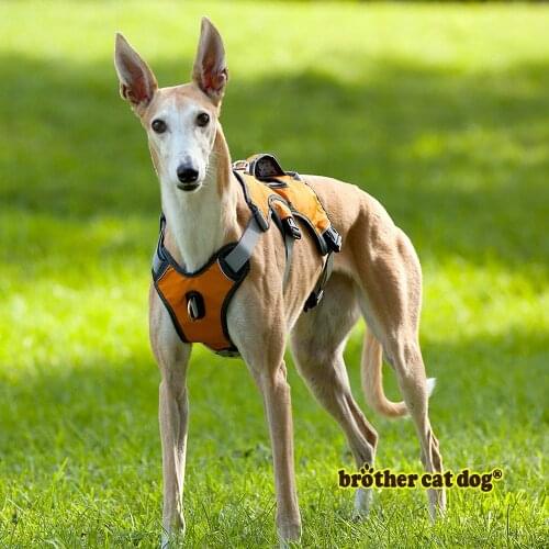 Pet Dog Harness For Big Large Dogs Vest Adjustable Strong Outdoor Reflective Harness Service Dog Supplies Accessories Products