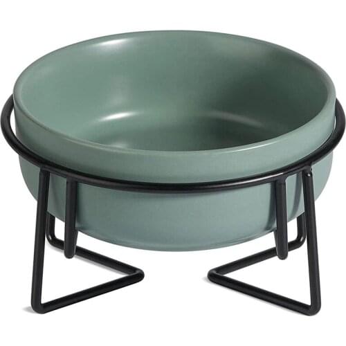 Ceramic Raised Cat Bowl With Metal Stand, Non-Slip Elevated Pet Feeder, Tilted Food And Water Feeding Bowl For Cat