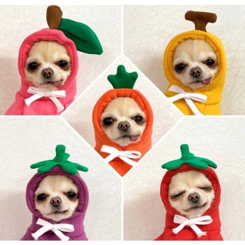 Cartoon Puppy Dog ​​cat Hooded Sweatshirt Winter Pet Small Dog Clothes French Bulldog Pug Coat Jacket Dog Pet Clothing Set