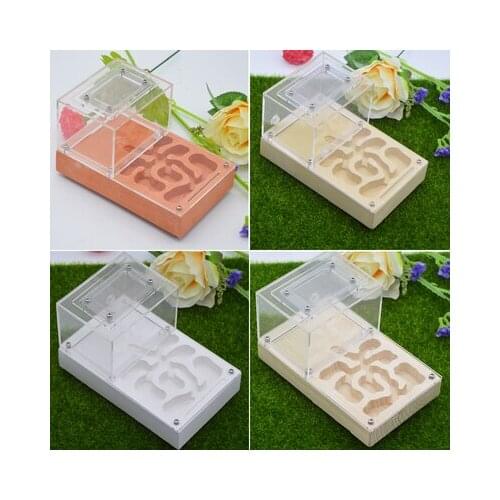 Pet ant nest breeding breeding ant nest imitation ecological ant nest flat plaster ant nest