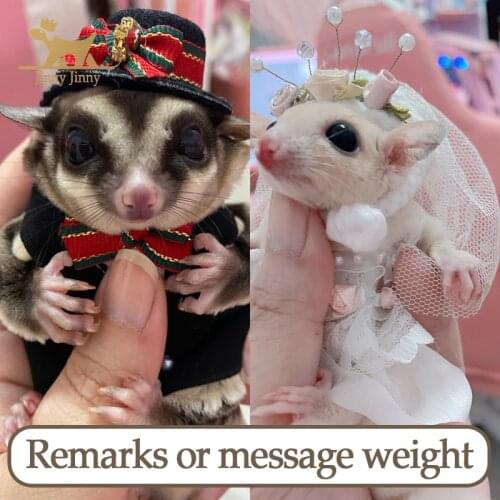 Hamster Clothes , Sugar Glider Dresses, Clothes For Hamsters, Festive Dresses Accessories, Dropshipping Center #Jinny