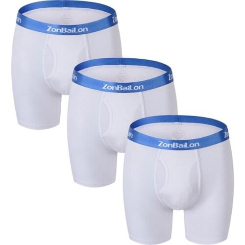 3PCS/Lot Mens Boxer Briefs Underwear Breathable Men Boxer Luxury For Men Slip Underpants Man Shorts Boxer Homme Sexy Panties