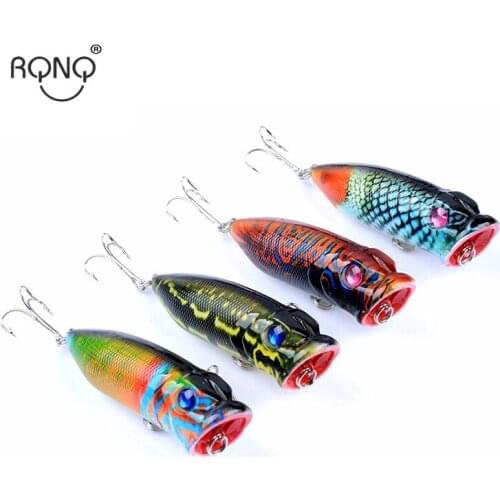 Rqnq 6.5cm 10.9g water surface fake bait 3D eyes plastic hard bait lifelike painting hard bait artificial jigging bait