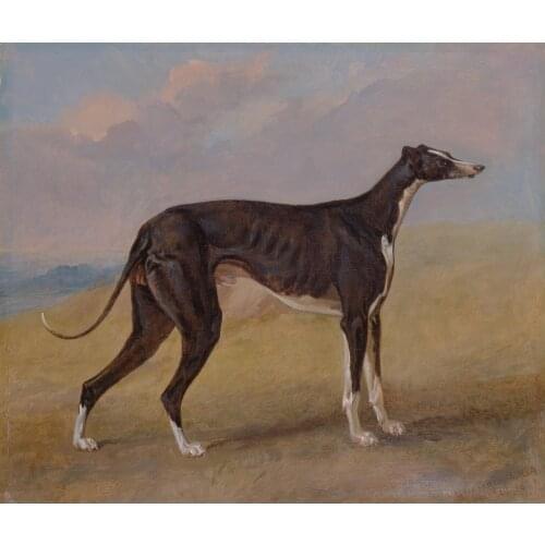 TOP Original art - GREYHOUND DOG Turk, a greyhound oil painting on canvas # animal Decor accept custom painting