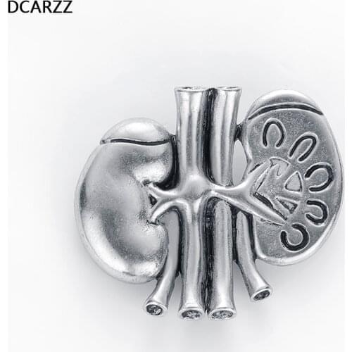 3D Kidney Lapel Pin Medical and Anatomy Brooch Jeans/Shirt/Bag Accessory for Doctor Nurses day Gift Vintage Jewelry Wholesale