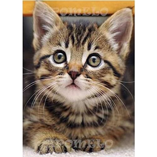 Animal Cat DIY 11CT Embroidery Cross Stitch Kits Needlework Craft Set Cotton Thread Printed Canvas Home Decoration Sell
