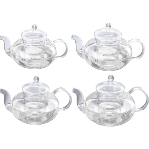 Glass Teapot Kung Fu Tea Blooming Loose Leaf Tea Pot W/ Infuser