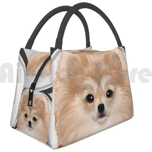 Cooler Lunch Bag Picnic Bag Rondo Pomeranian Dog Pomeranian Pomeranian Dog Dog Pom Pets