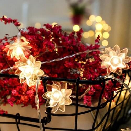 PCOWSPL LED Holiday Light Bulbs