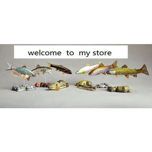 Pvc figure model toy gift 8pcs/set Simulation animal model - freshwater fish series 8pcs/set