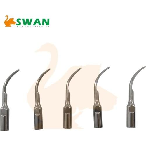 Ultrasonic Scaler Dental Piezo Scaler Scaling Tip Insert Woodpecker EMS G1 GD1 for Supragingival Calculus Removal Dentistry Tool