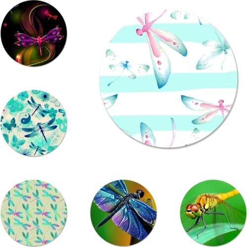 Beautiful dragonfly Badge Brooch Pin Accessories For Clothes Backpack Decoration gift 58mm
