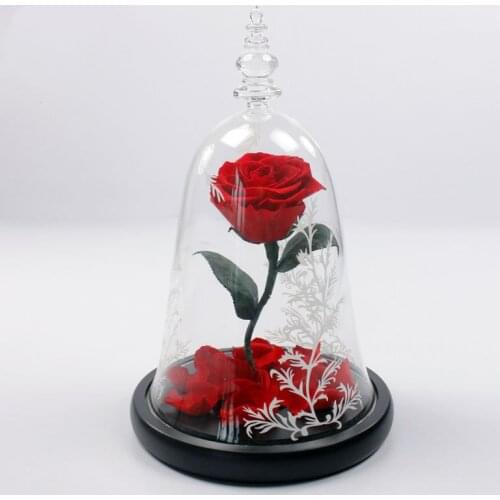 Beauty And The Beast Rose Kit Colorful Led Light in Glass Dome Black Wooden Base Home Decor Holiday Party Wedding Anniversary