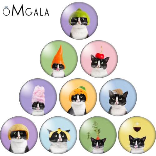 Funky Cat Head with Fruit Plants 10pcs mixed 12mm/18mm/20mm/25mm Round photo demo glass cabochon flat back Making findings