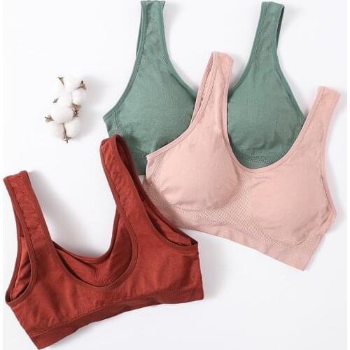 Womens Seamless Underwear Crop Top Women Sports Top Sexy Lingerie U Back Female Padded Bralette Bandeau Top Tanks Camisole