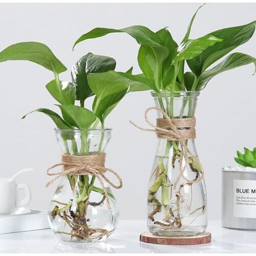 Hydroponics Plants Vases Transparent Glass Vases Supplies Nordic Vase Decoration Creative Flower Rope Dry Flower Vase