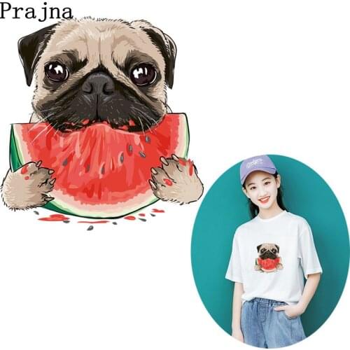 Prajna Watermelon Dog Heat Transfer Hot Vinyl Iron On Heat Transfers For Clothes Ironing Stickers DIY Cartoon Animals Appliques