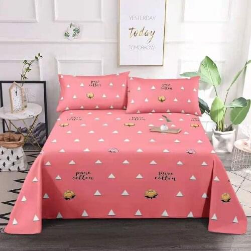 Bed sheet + pillowcase) 3-piece set of bed sheet, single bed, single bed, double bed, cartoon simple and warm