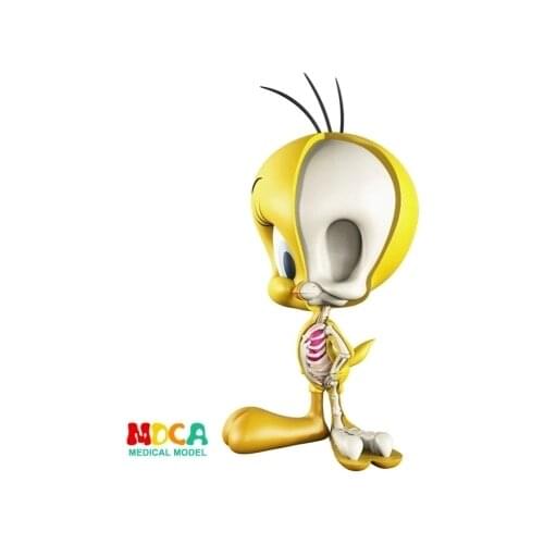 4D trey canary anatomy cartoon model free shopping