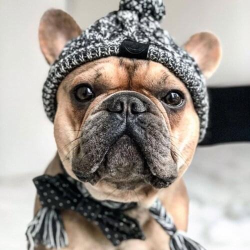2021 Hot Knitting Dog Hat Autumn Winter Warm Windproof Knitted Hat Cute Costume Accessories Cap for Pet Dog