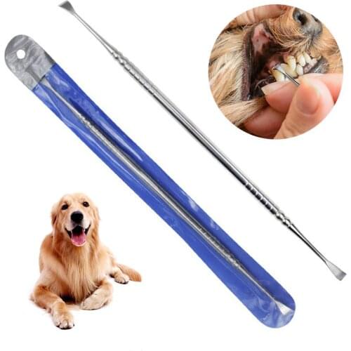 Double-head Cat Dog Teeth Cleaning Tool Stainless Steel Tartar Remover Stick Tooth Care Dental Calculus Removal Tooth Scraper