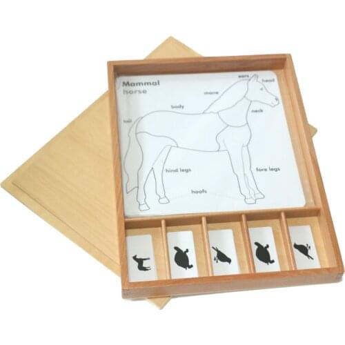 Montessori Language Teaching Aids Kindergarten Intellectual Toys Large Animal Picture Card Brain Games for Kids Fish Horse Frog