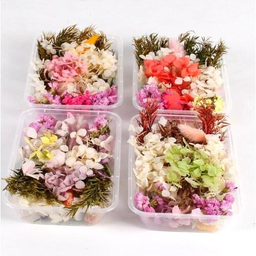 1 Box Real Dried Flower Dry Plants For Aromatherapy Candle Epoxy Resin Pendant Necklace Jewelry Making Craft DIY Accessories