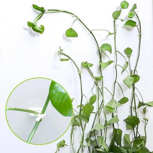 100Pcs Plant Buckle Hooks Portable Lightweight Simple Plant Climbing Wall Self-Adhesive Fastener Tied Fixture Hooks for Home