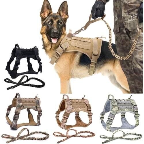 PETRAVEL Goods For Sports And Recreation