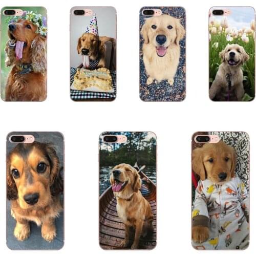 Cocker Spaniels Dog Puppies Soft For Samsung Galaxy Note 5 8 9 S3 S4 S5 S6 S7 S8 S9 S10 mini Edge Plus Lite Newest Phone Cases