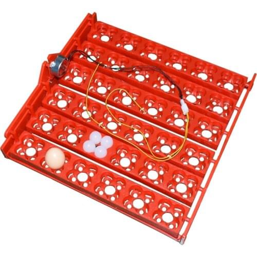 36 /144 Eggs Automatic Incubator Egg Tray Egg Incubator 110v / 220v Motors New Incubation Equipment Chicken Bird Equipment 1set